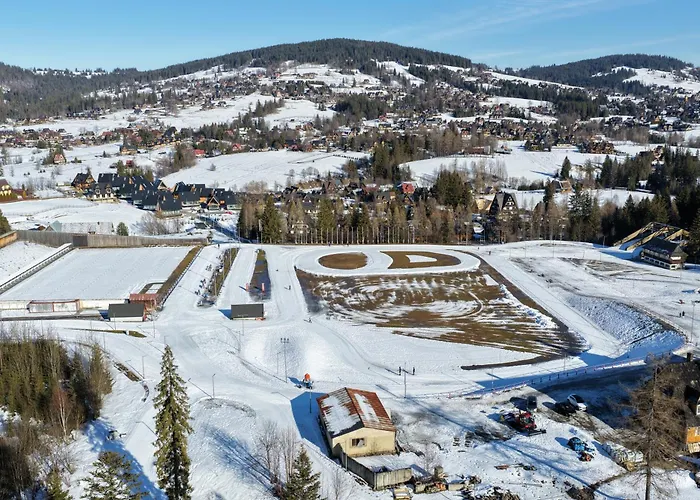 Orso Bruno Groń Kościelisko